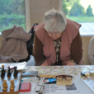 Mosonmagyaróvári Civil Nap (Fotó: Nagy Mária)