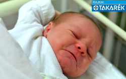 Zámbó Mercédesz Zara, Mosonmagyaróvár