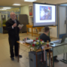 1956 - os Művészeti Galéria megnyitó