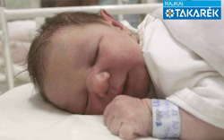 Bérci Olivér, Mosonmagyaróvár