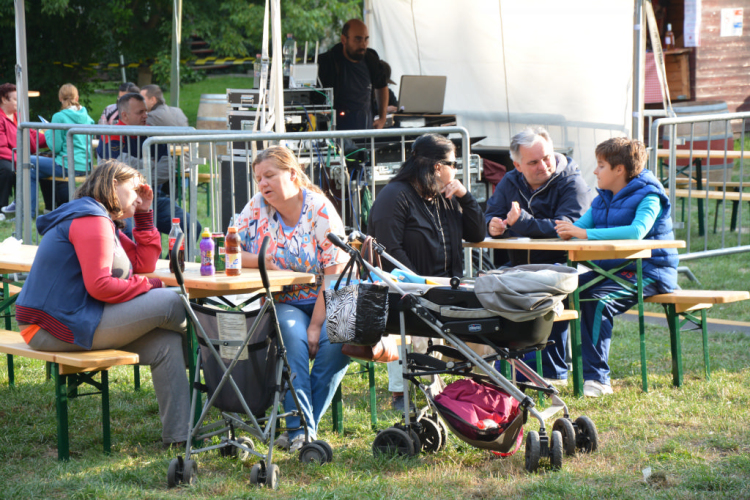 Szigetköz ízei, vármegye borai fesztivál - péntek (Fotó: Nagy Mária)