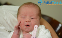 Cséfalvai Dorina, 3220 gr. Dunasziget