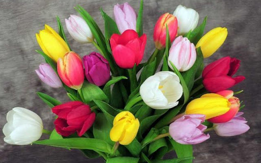 Boldog nőnapot kívánunk!