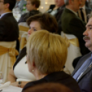 Virilista est 2015 Mosonmagyaróvár (Fotó: Horváth Attila)