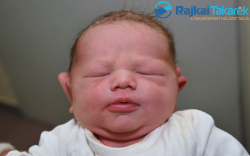 Donáth Márton, 3430 gr. Mosonmagyaróvár