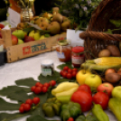 Termény- és virágkiállítás 