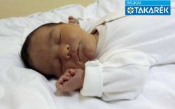 Pribránszki Lilla, Mosonmagyaróvár