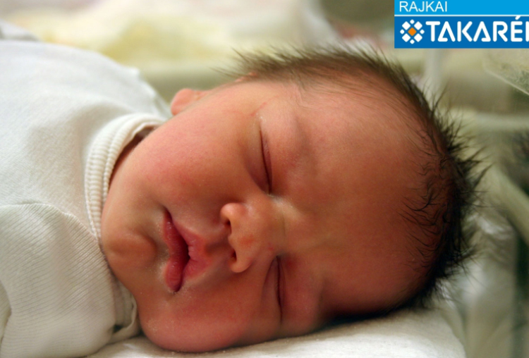 Tóth Dávid, Mosonmagyaróvár