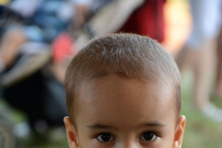 Szigetköz ízei, Vármegye borai Fesztivál 1. nap (Fotó: Bánhegyi István)