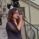 Szigetköz ízei, Vármegye borai Fesztivál (vasárnap) (Fotó: Horváth Attila)