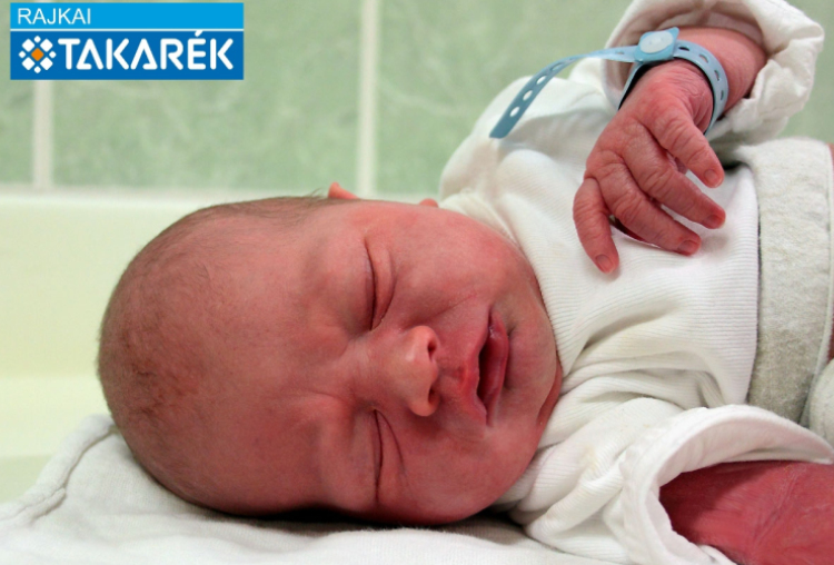 Sprencz Flóra, Mosonmagyaróvár