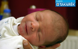 Göblyös Bence, Hanságliget