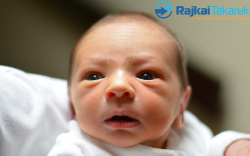 Fülöp Benedek, 2490 gr. Mosonmagyaróvár