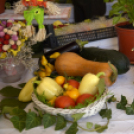 Termény- és virágkiállítás 