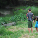 Halgazdálkodási törvény sajtótájékoztatója (Fotó: Nagy Mária)