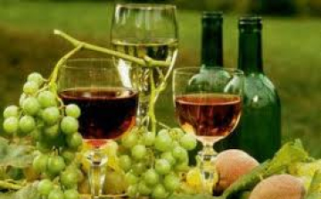 Két Guinness-rekord kísérlet Mosonmagyaróváron