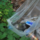 Szemétszedés a Kiserdőben (Fotó: Nagy Mária)