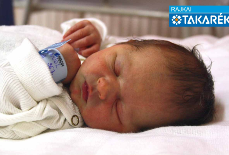 Tóth Noel, Halászi