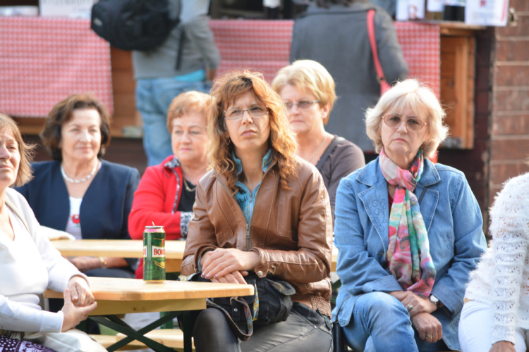 Szigetköz ízei, vármegye borai fesztivál - péntek (Fotó: Nagy Mária)