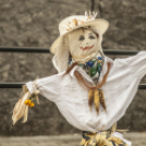 KultUtca _ Bolhapiac