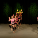 Jótékonysági műsor - Fehér és Máltai Szeretetszolgálat az Éltes iskola javára (Fotó: Horváth Attila)