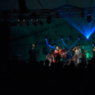 Szigetköz Ízei, Vármegye borai Fesztivál (péntek) (Fotó: Horváth Attila)