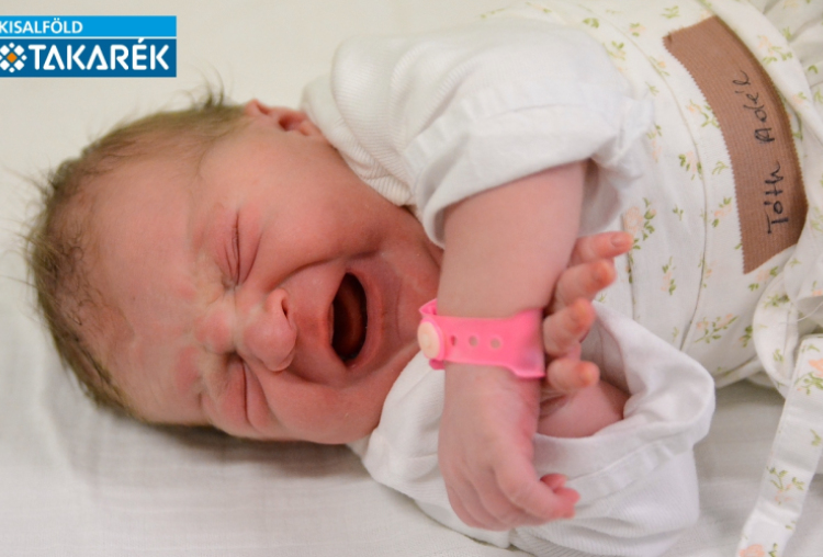 Tóth Adél, Bősárkány