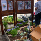 VI. Apró kezek, Csodakertek Gyermek Kertépítő verseny (Fotó: Bánhegyi István)