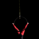 Mosonmagyaróvári Kossuth Lajos Gimnázium: 