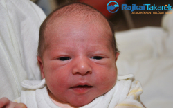 Hernitz Patrik János, 3300 gr. Csorna