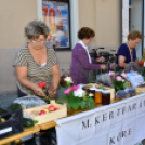 KULT-UTCA - Prózai líranap