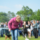 CAC kutyakiállítás (Fotó: Nagy Mária)