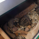 Turisztikai szakmai fórum a FUTURA-ban