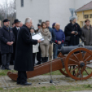 2015. MÁRCIUS 15. Mosonmagyaróvár (Fotó: Horváth Attila)