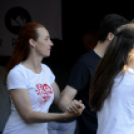 Moson Big Band koncert, Garden party