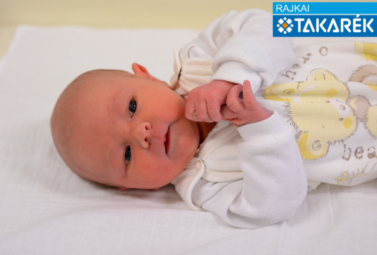 Szűcs Máté Péter, Mosonmagyaróvár