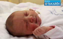 Cseke Nóra, Mosonmagyaróvár