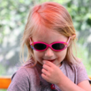 Az Ebuló Kutyaiskola interaktív kutyás bemutatója a Pillangó óvodában (Fotó: Stipkovits Veronika)