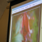 Akusztikai és fizikai délután a Mosonyi Mihály Zeneiskolában (Fotó: Markó Bernadett)