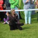 CAC kutyakiállítás (Fotó: Nagy Mária)