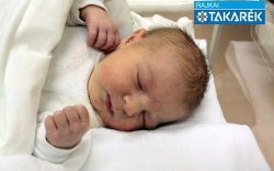 Nagy Veronika, Jánossomorja