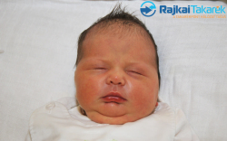 Szalontai Kíra, 4040 gr. Hegyeshalom