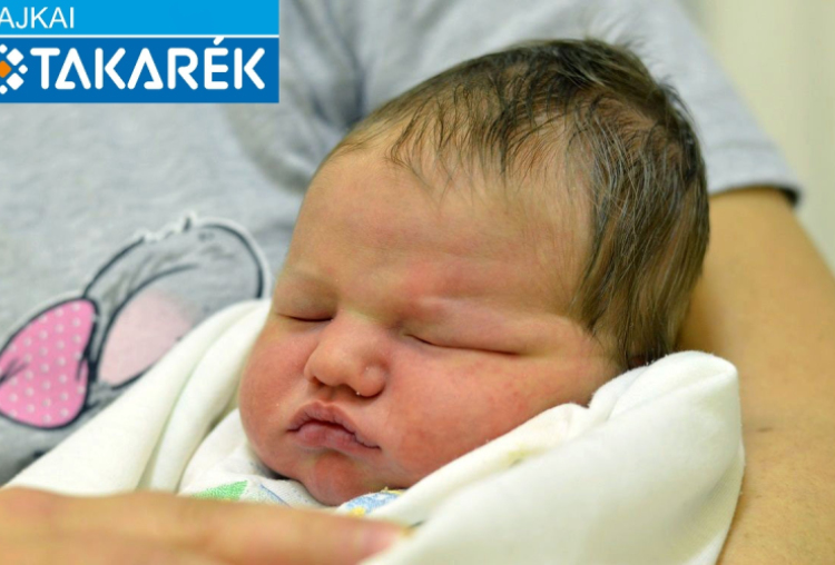 Miholics Máté, Csorna