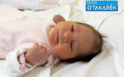 Földesi Janka, Bősárkány