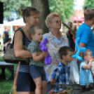 2 Kéklámpás nap (Fotó: Nagy Mária)