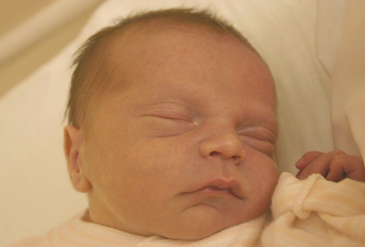 Kovács Alíz, Szárföld