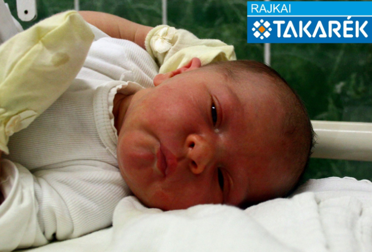 Schmiedt Kornél, Mosonmagyaróvár