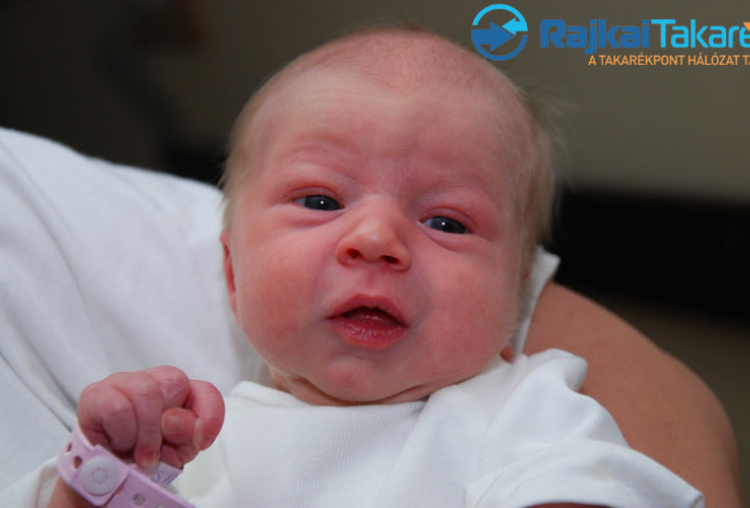 Simon Csenge, 2840 gr. Mosonszentmiklós