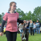 CAC kutyakiállítás (Fotó: Nagy Mária)