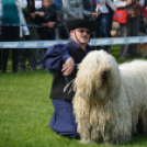 CAC kutyakiállítás (Fotó: Nagy Mária)